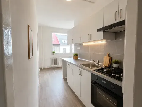 Pronájem bytu 2+1, Litvínov, Rooseveltova, 64 m2