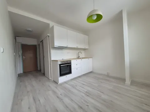 Pronájem bytu 1+1, Brno, Fleischnerova, 40 m2