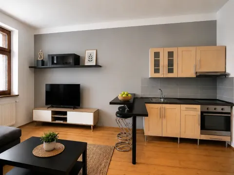 Pronájem bytu 2+kk, Teplice, Jankovcova, 45 m2