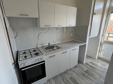 Pronájem bytu 1+1, Frýdek-Místek, Lískovecká, 32 m2