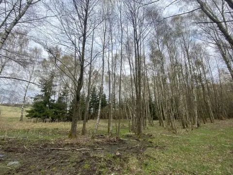 Prodej pozemku, Volfířov - Brandlín, 5958 m2