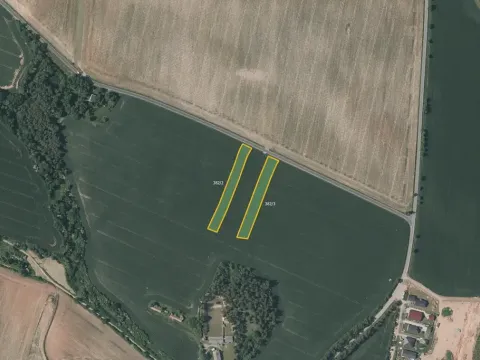 Prodej pole, Mladotice, 12485 m2