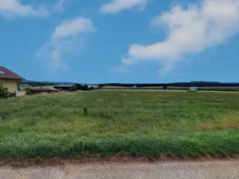 Prodej komerčního pozemku, Olešník, 2747 m2