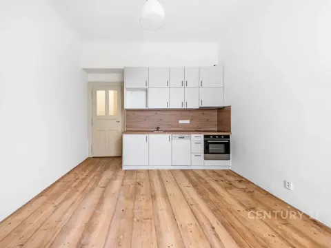 Pronájem bytu 1+kk, Praha - Nusle, Sezimova, 27 m2