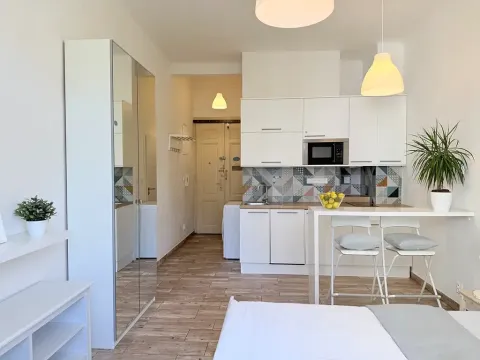 Pronájem bytu 1+kk, Praha - Vršovice, Slovinská, 22 m2
