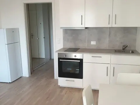 Prodej bytu 1+kk, Praha, Novovysočanská, 24 m2