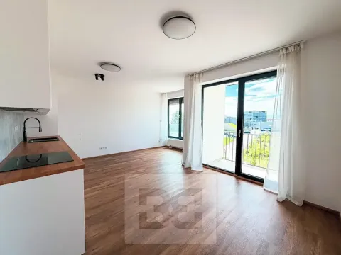 Pronájem bytu 1+kk, Plzeň, Železná, 34 m2