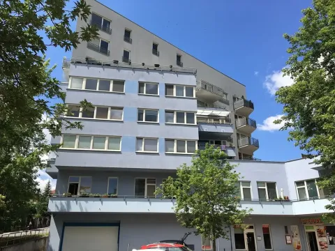 Prodej bytu 3+kk, Praha - Motol, Kudrnova, 120 m2