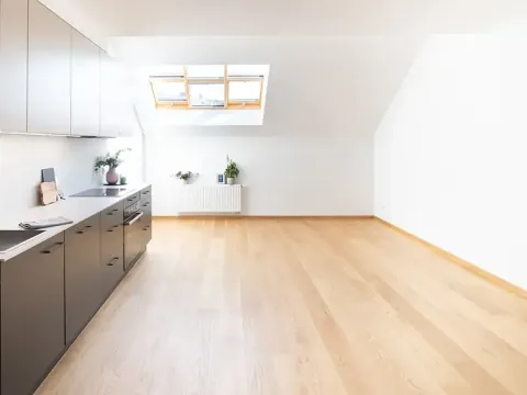 Pronájem bytu 2+kk, Praha - Žižkov, Jeronýmova, 68 m2