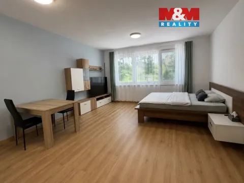 Prodej bytu 1+kk, Karlovy Vary - Drahovice, Mattoniho nábřeží, 45 m2