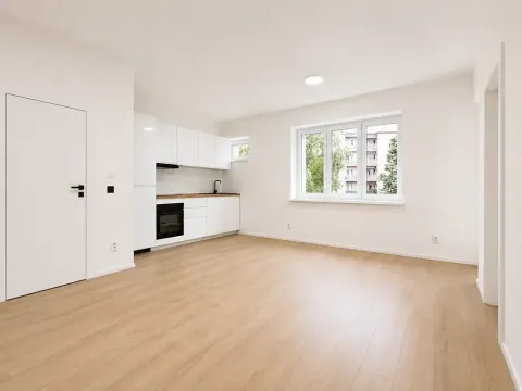 Prodej bytu 2+kk, Brno, Zvěřinova, 46 m2