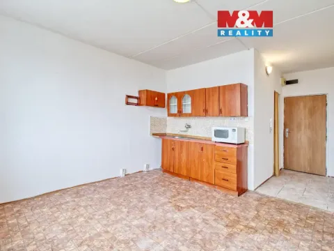 Prodej bytu 1+1, Chomutov, Zahradní, 36 m2