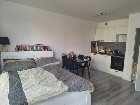 Pronájem bytu 1+kk, Praha - Ruzyně, Stočesova, 33 m2
