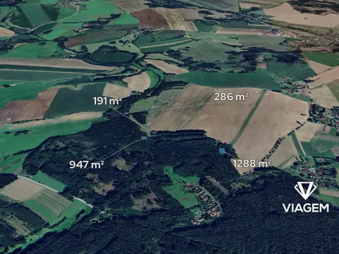 Prodej podílu lesa, Vyklantice, 1356 m2