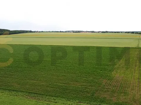 Prodej podílu pole, Tursko, 24693 m2