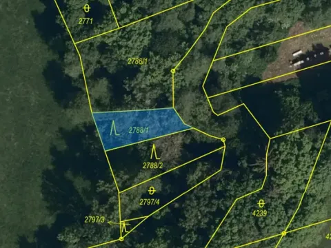 Prodej lesa, Hradčovice, 207 m2