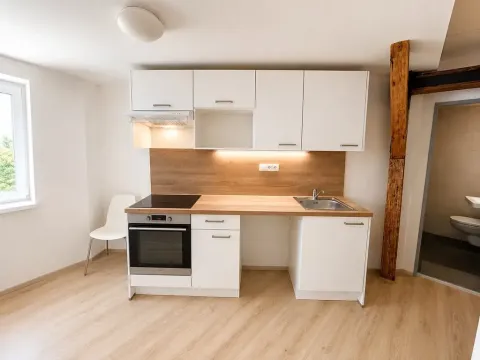 Pronájem bytu 1+kk, Brno, Kounicova, 26 m2