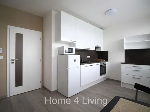 Pronájem bytu 1+kk, Brno, Nad Přehradou, 25 m2