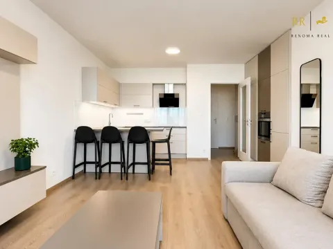 Pronájem bytu 2+kk, Brno, U Červeného mlýna, 62 m2