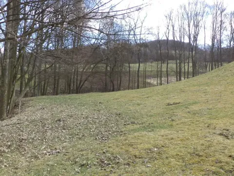 Prodej pole, Heřmanov - Fojtovice, 4633 m2