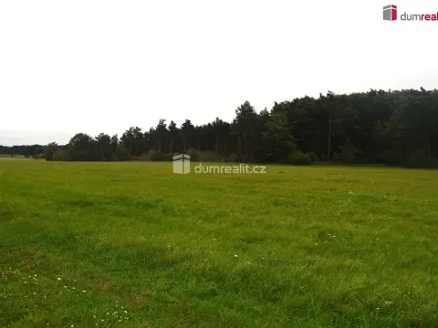 Prodej pole, Benátky nad Jizerou, Pražská, 6490 m2