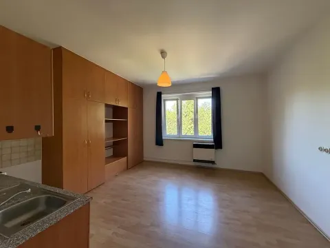Pronájem bytu 1+kk, Praha - Libeň, U Balabenky, 30 m2