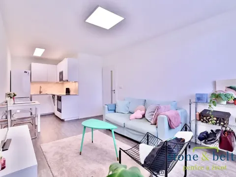 Pronájem bytu 2+kk, Praha - Nusle, Pujmanové, 40 m2