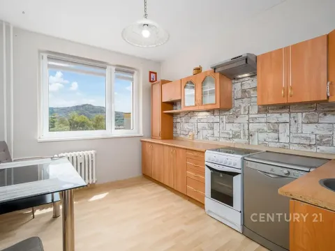 Pronájem bytu 3+1, Děčín, Dvořákova, 75 m2