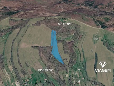 Prodej podílu pole, Košíky, 1576 m2