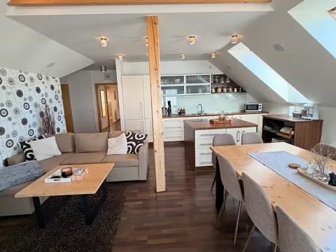 Pronájem bytu 3+kk, Kostelec na Hané, 150 m2