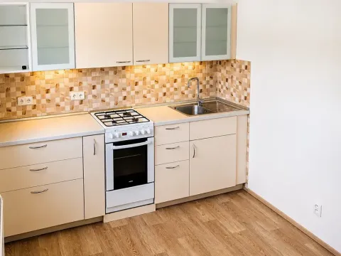 Pronájem bytu 1+1, Brno, Olomoucká, 35 m2