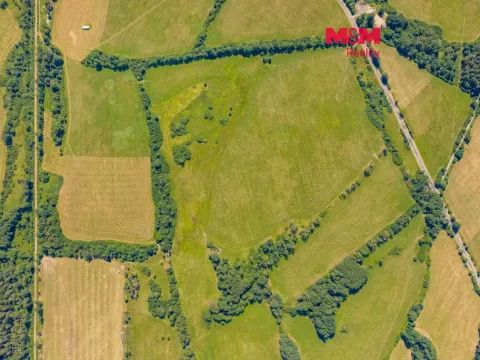 Prodej louky, Nové Mitrovice, 11703 m2