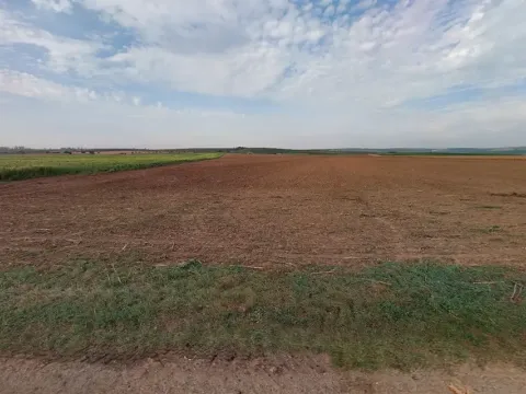 Prodej pole, Pouzdřany, 17410 m2
