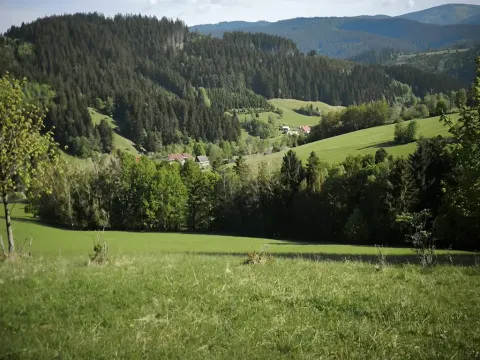 Prodej lesa, Velké Karlovice, 6375 m2