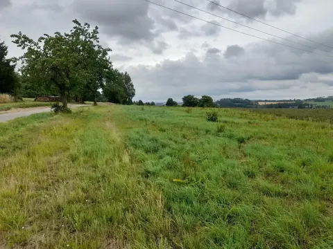 Prodej pozemku pro bydlení, Hořice, 1411 m2