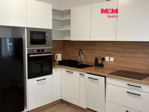 Pronájem kanceláře, Ostrava - Vítkovice, Lidická, 57 m2