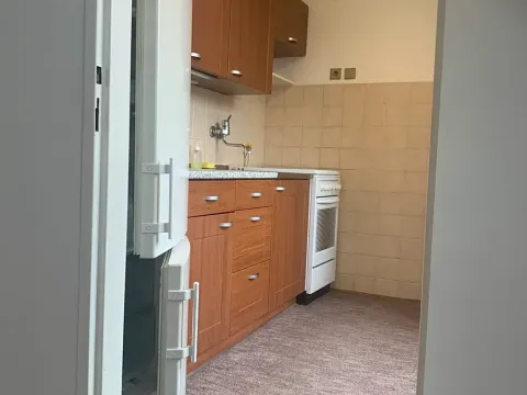Prodej bytu 2+1, Praha, V olšinách, 45 m2