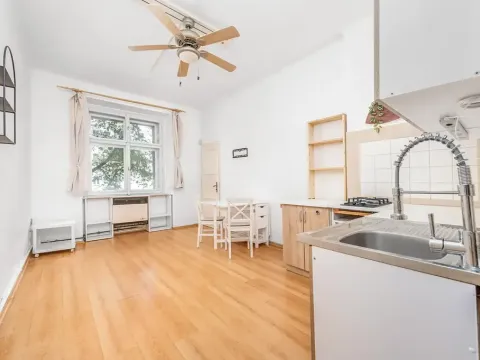 Pronájem bytu 1+1, Praha - Nusle, Pod vilami, 42 m2