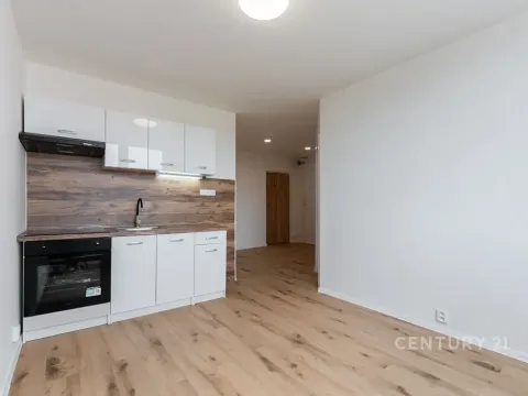 Pronájem bytu 2+kk, Most, Lidická, 33 m2
