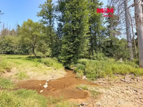Prodej rybníku, Dolní Hořice - Pořín, 8552 m2