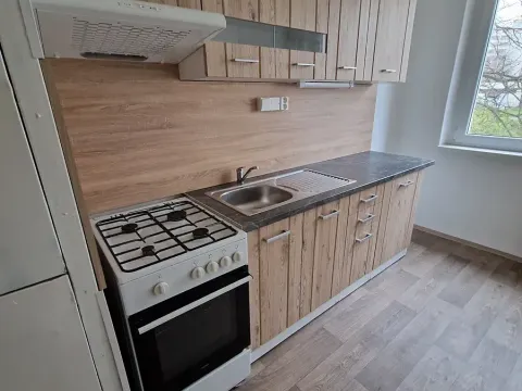 Pronájem bytu 4+1, Ústí nad Labem, Dr. Horákové, 88 m2