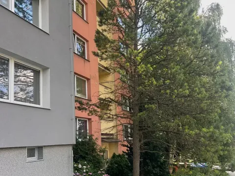 Prodej bytu 1+1, Frýdek-Místek, Bruzovská, 36 m2