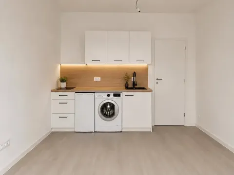 Pronájem bytu 1+kk, Brno, Svitavská, 26 m2