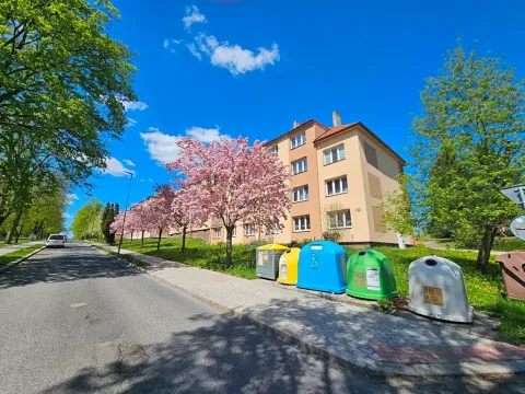 Prodej bytu 2+1, Milevsko, Čs. armády, 50 m2