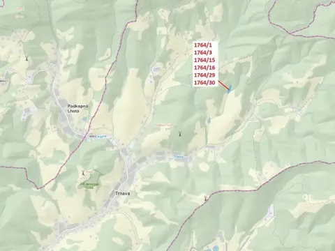 Dražba lesa, Trnava, 10498 m2