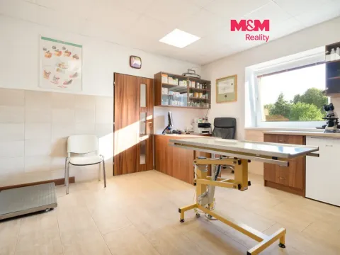 Prodej obchodního prostoru, Lázně Bohdaneč, Škroupova, 202 m2