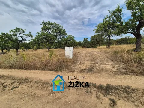 Prodej zahrady, Želešice, 870 m2