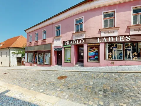 Prodej obchodního prostoru, Třebíč - Vnitřní Město, Hasskova, 400 m2