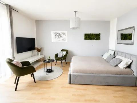 Prodej bytu 1+kk, České Budějovice - České Budějovice 2, Spojovací, 35 m2