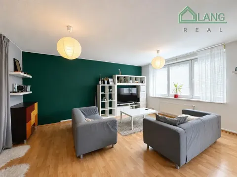 Pronájem bytu 1+kk, Brno, Kristenova, 58 m2